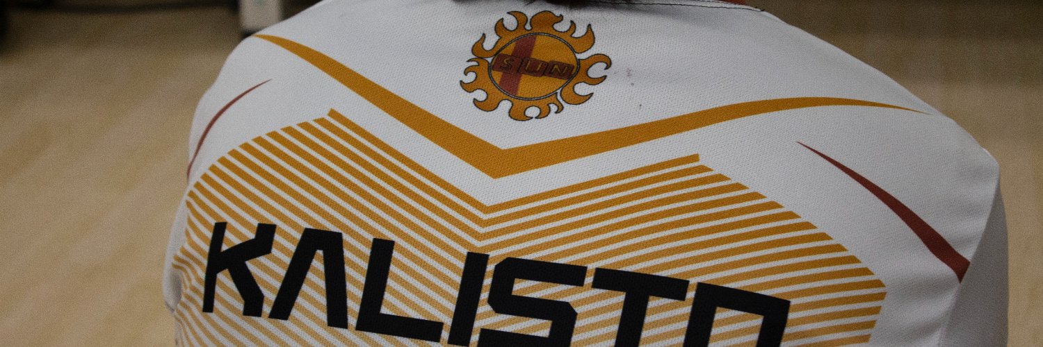 sun banner
