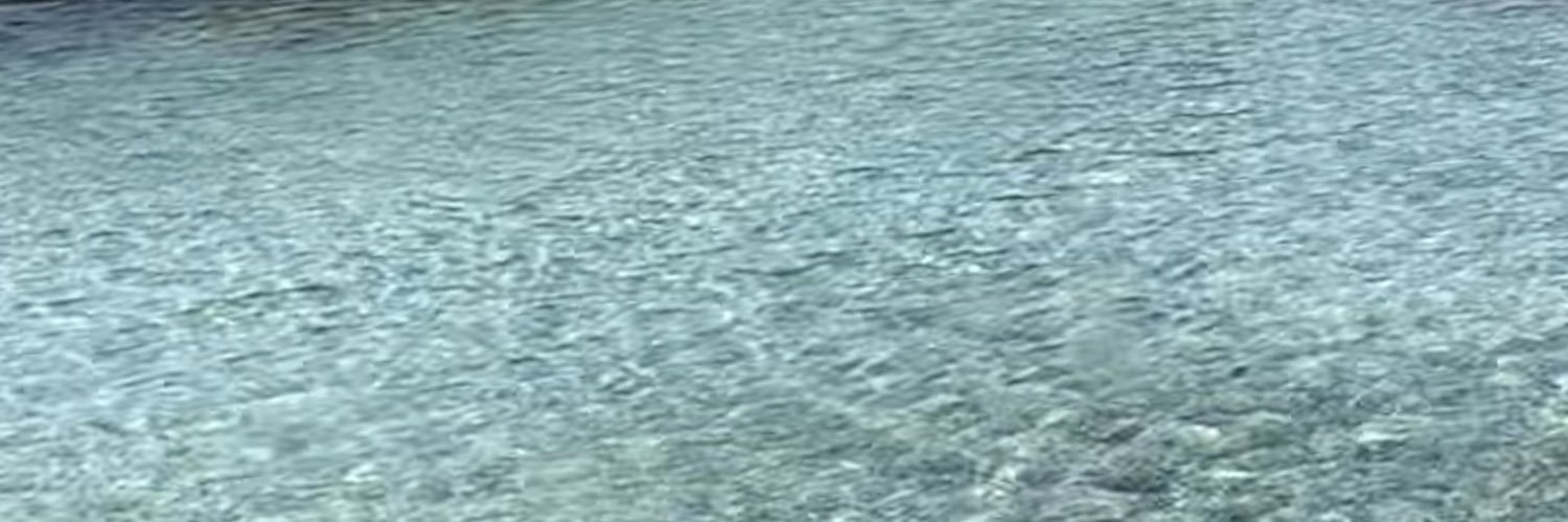 dnzdkck's profile banner image