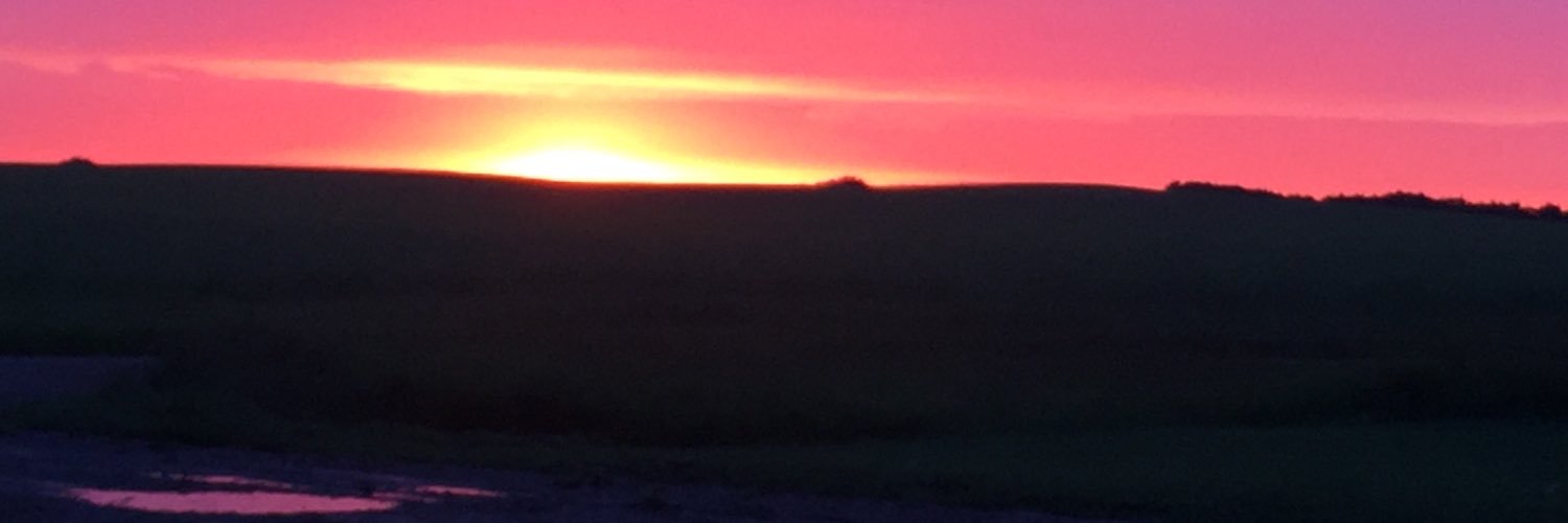 rsilvernagle's profile banner image