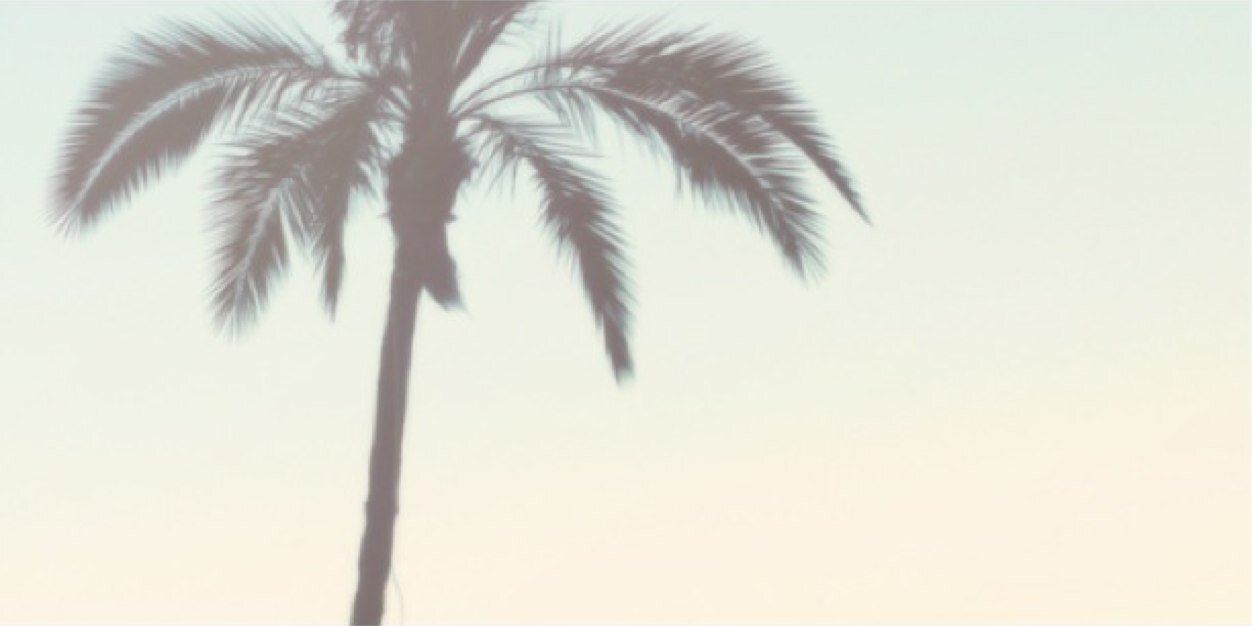 omghariana's profile banner image