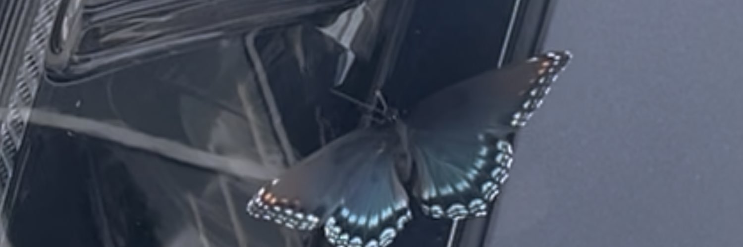 ayeCanyce's profile banner image