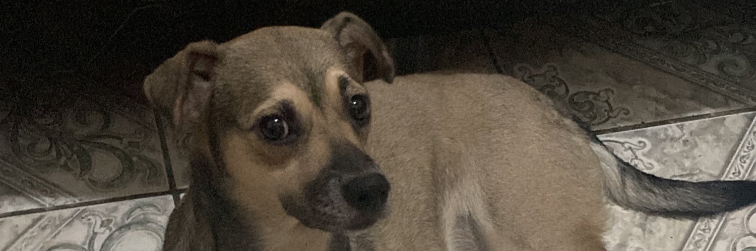BBatrixer's profile banner image