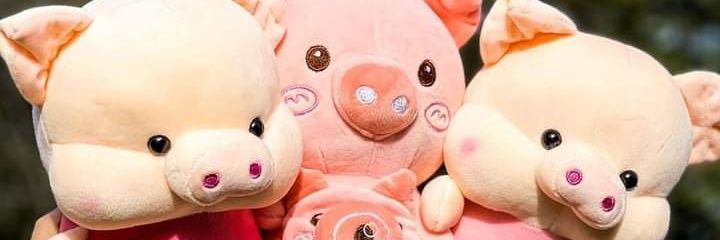 Francisco Lara banner