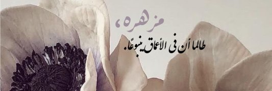 m3m3ee3's profile banner image
