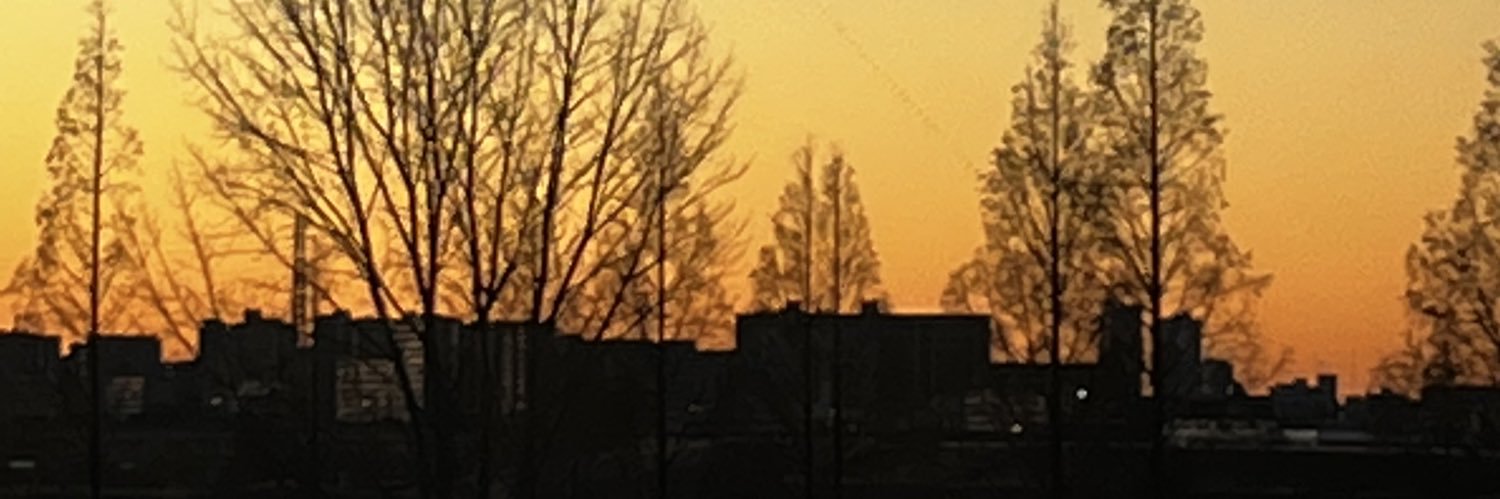 nagi_coA's profile banner image