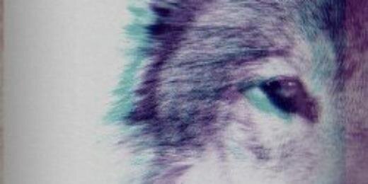 pisha_ah's profile banner image