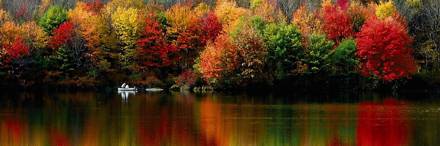 WitnessNo.2🪶🇺🇸 banner