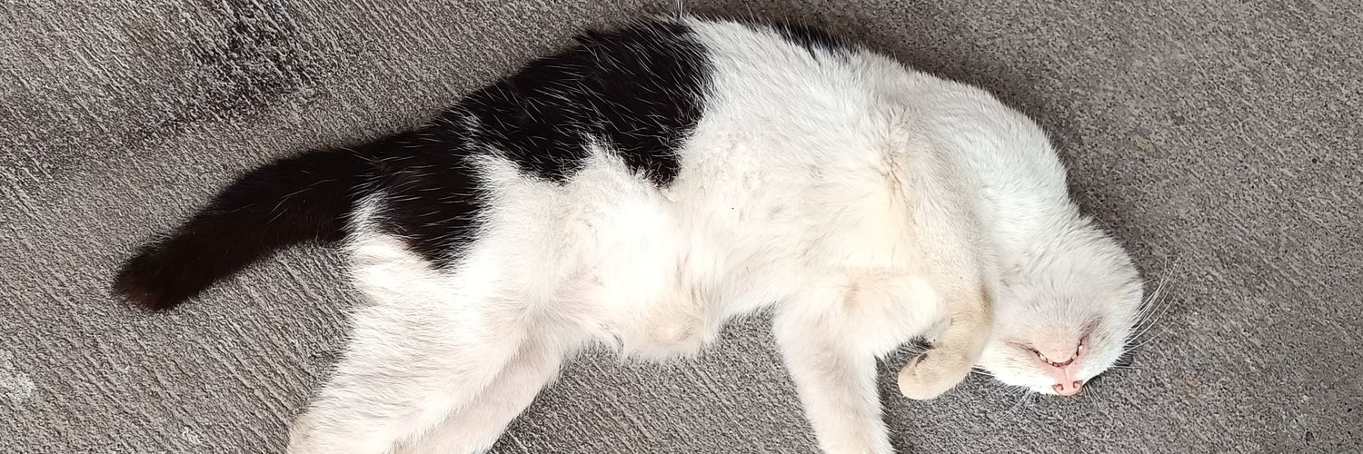 7Jenzel's profile banner image