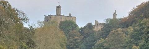 Norman Bewick banner
