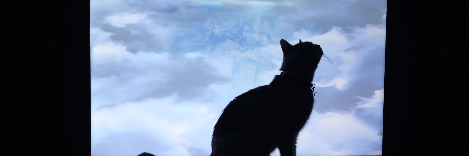 Xiqui_Bi's profile banner image