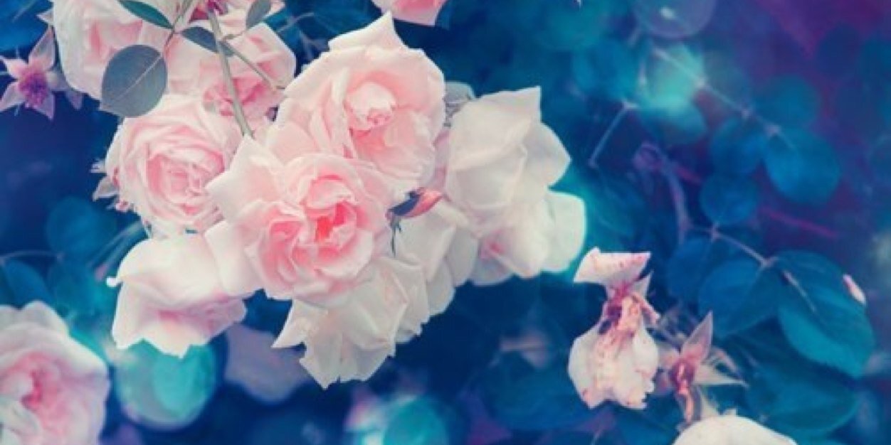 Be_Rrich's profile banner image