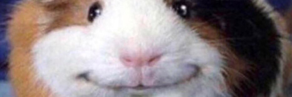 scrambledeggsxd's profile banner image