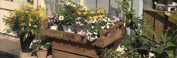 𓇼 ตอบช้างดเร่ง banner