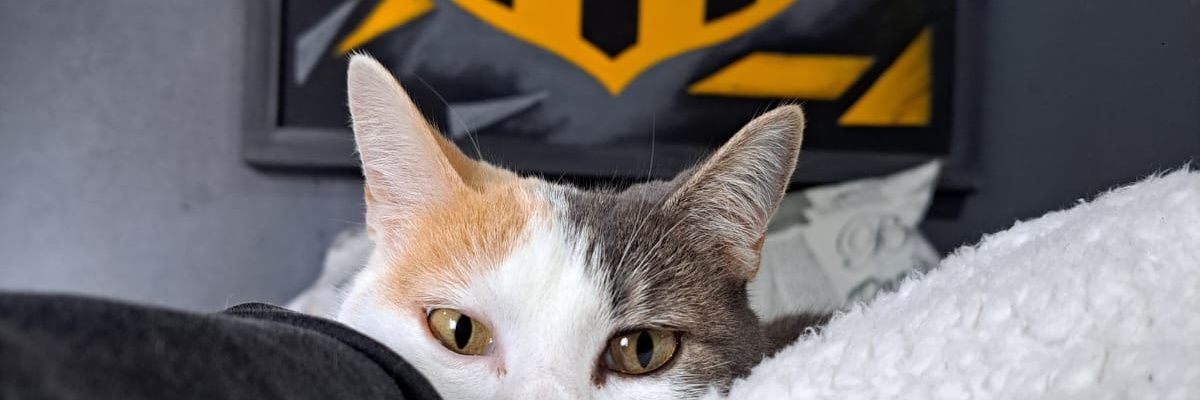 JazAlonzo's profile banner image