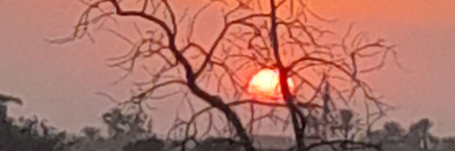 سيف الغزاوي banner