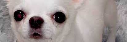 9churipo's profile banner image