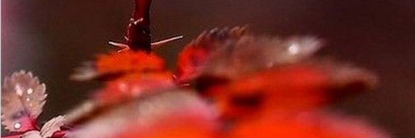 bosideng4's profile banner image