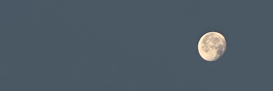 mmilippg's profile banner image