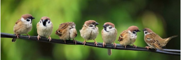 Strahlemann Michael banner