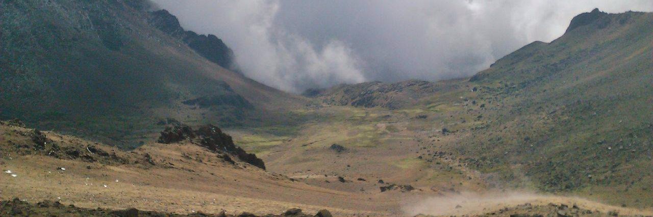 fedeerrante's profile banner image