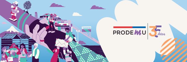 PRODEMU Profile Banner