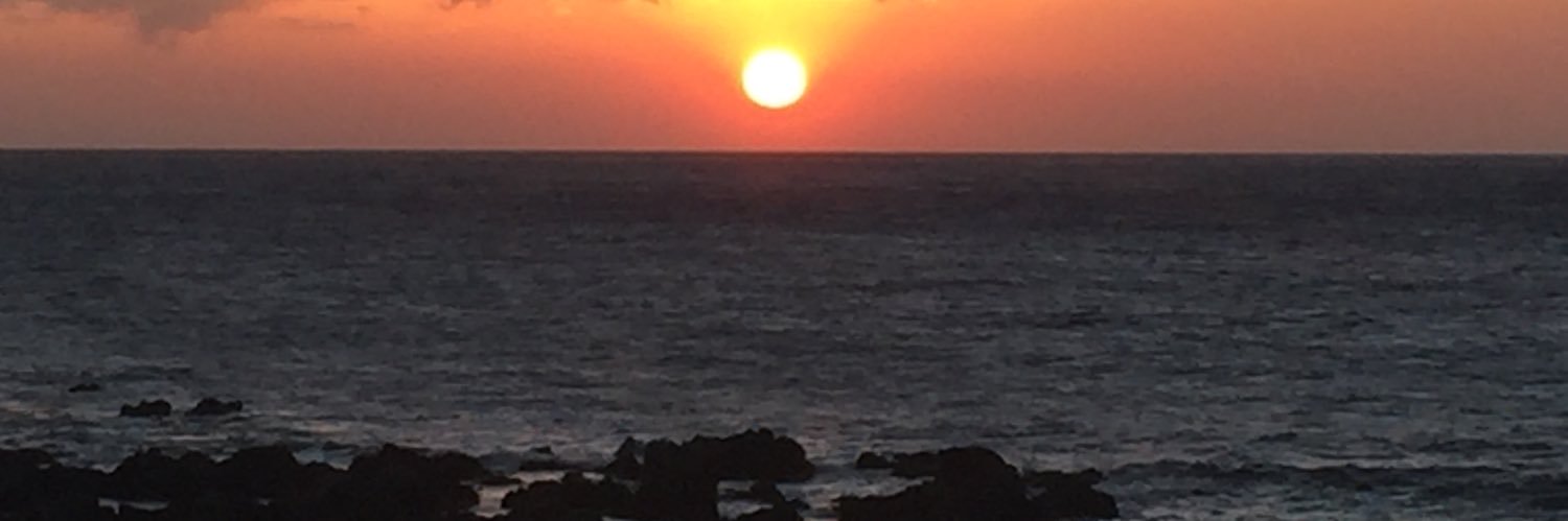 audosu02's profile banner image