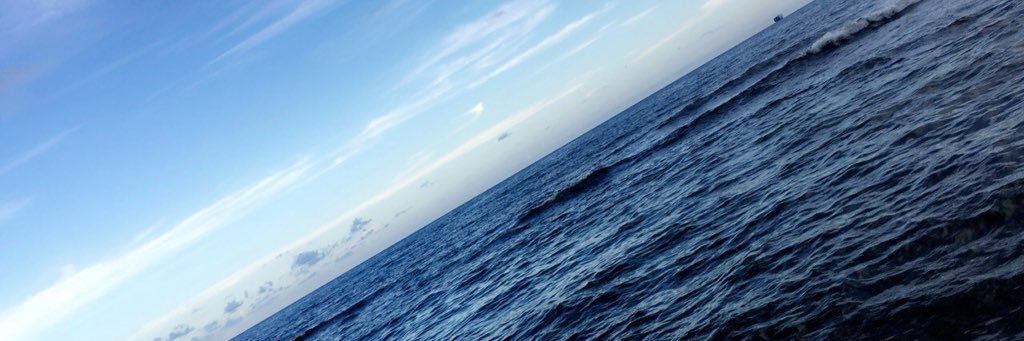 Selidlc's profile banner image