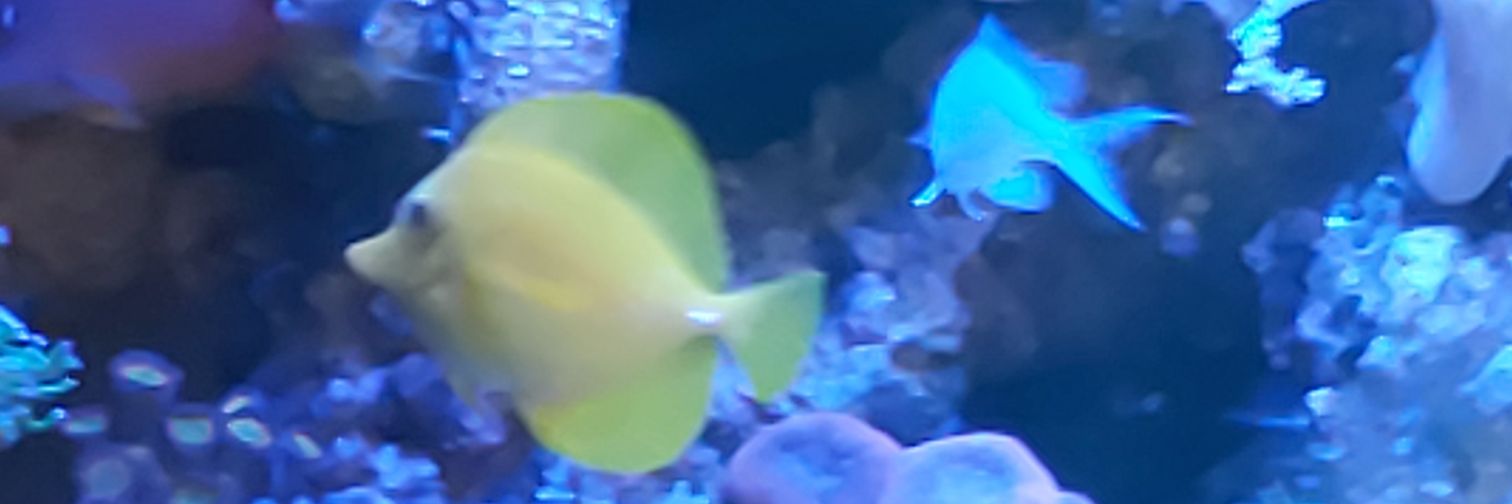 burkehouse64's profile banner image