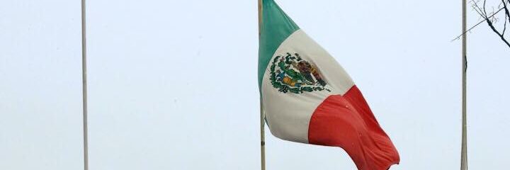 David D🦁...🇲🇽🌄 banner