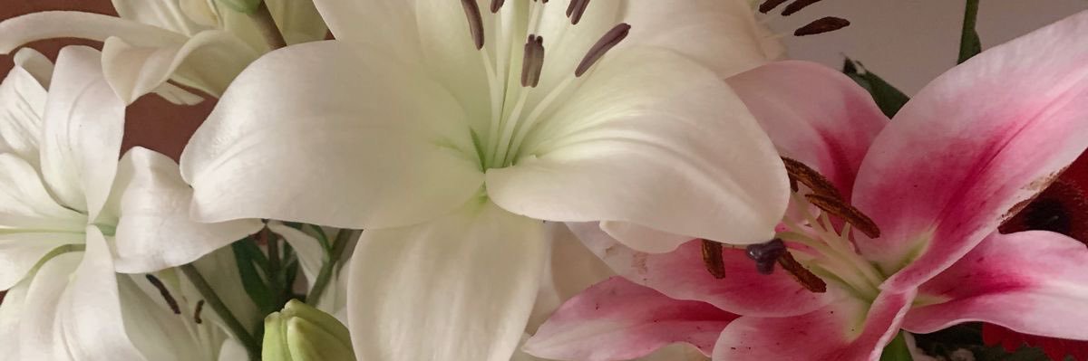 kimberly_esc's profile banner image