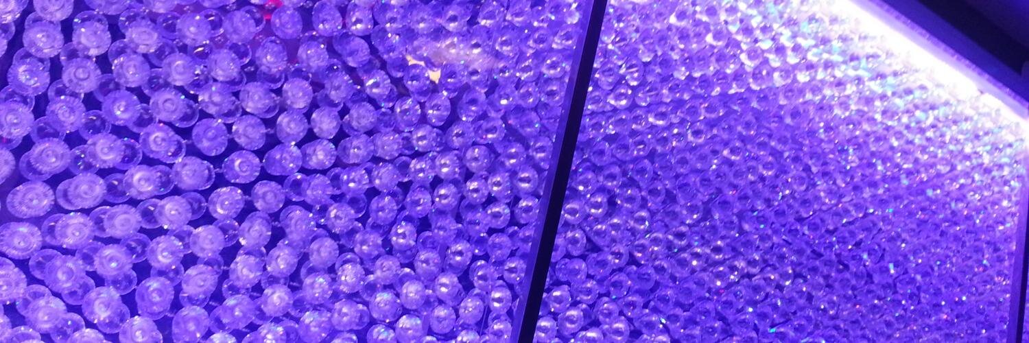 Christine Hung banner