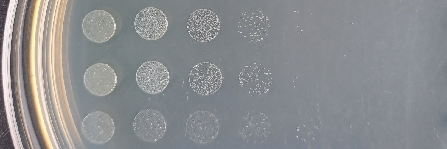 Jake Colautti banner