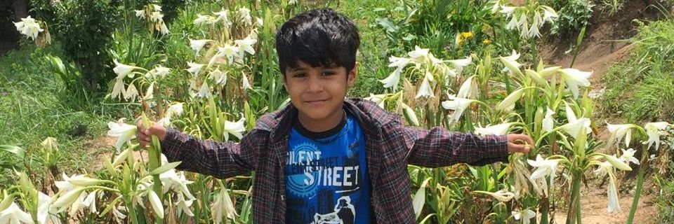 sheetal sharma banner