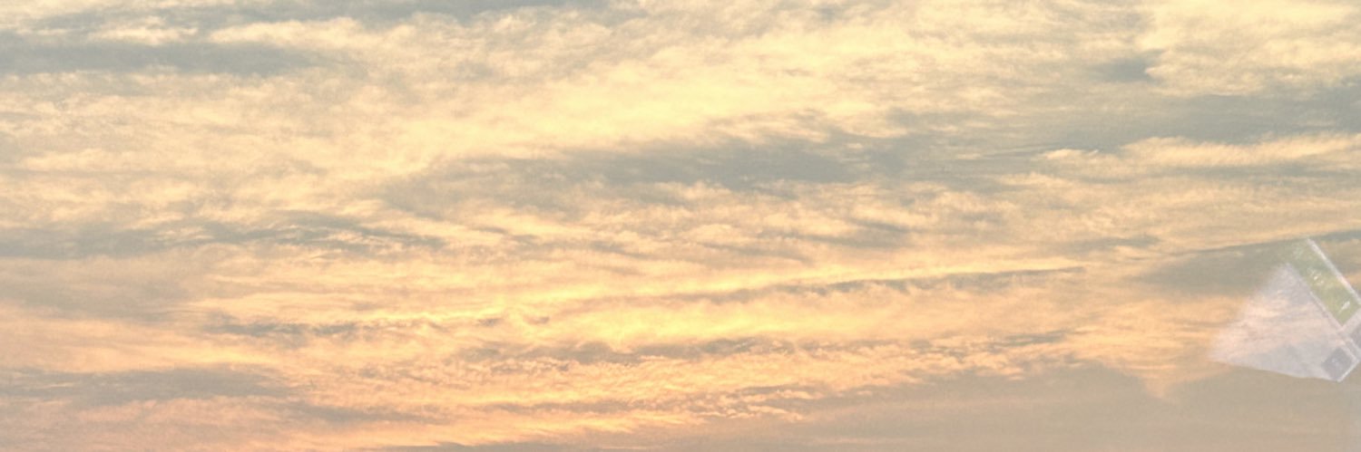 moimeusted's profile banner image