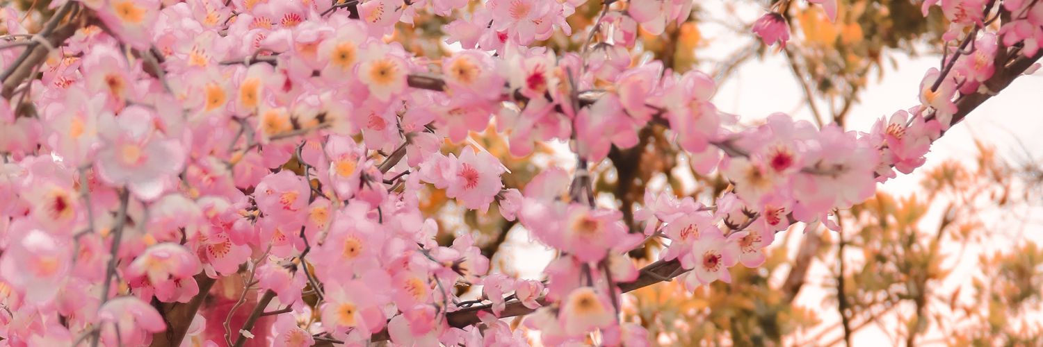 yourreason banner