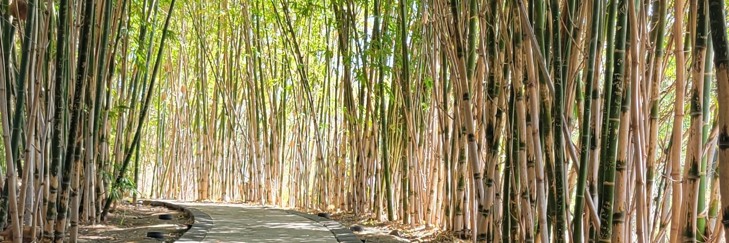 Héctor Castillo Aguilar banner