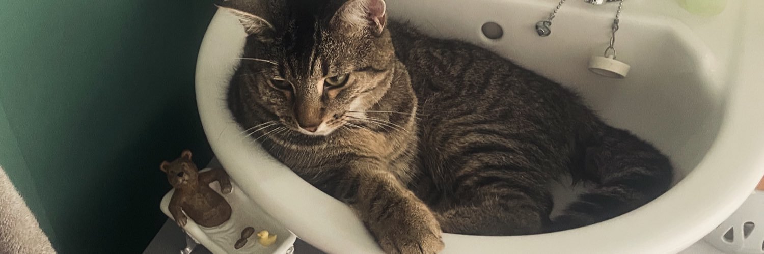 MELL /Book obsessed banner