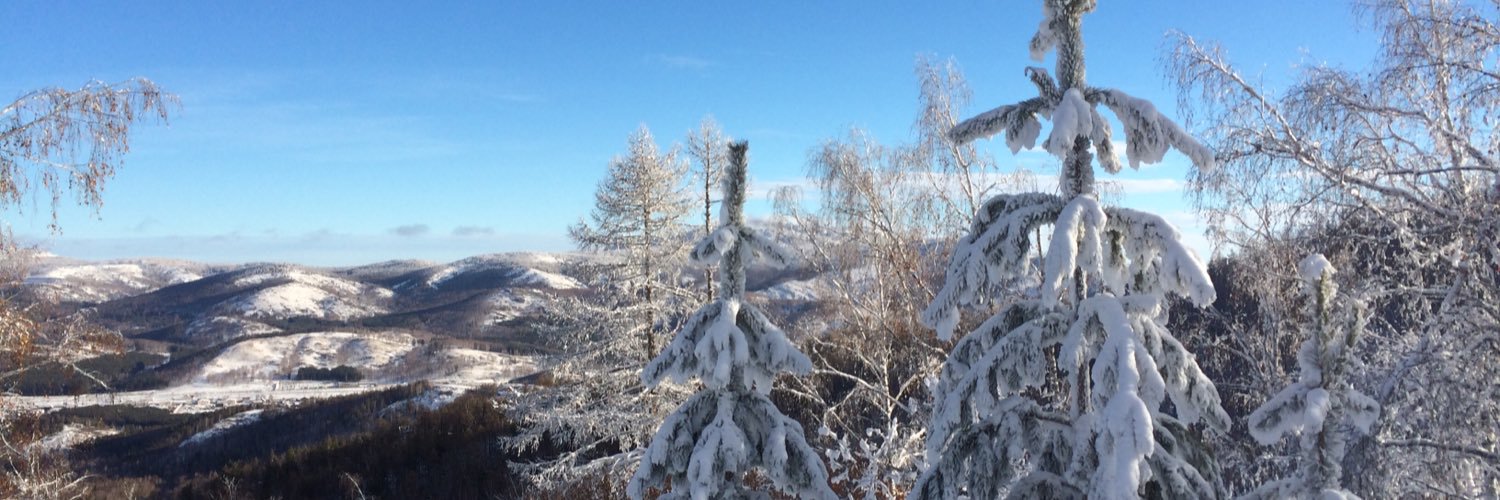 Кулебякин banner