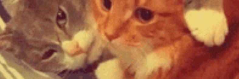 Λιναloililin banner