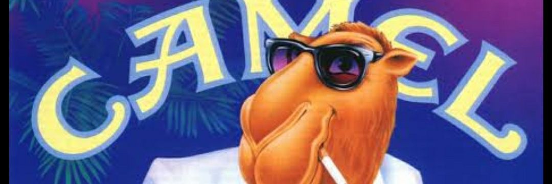 Torrado & Moído banner