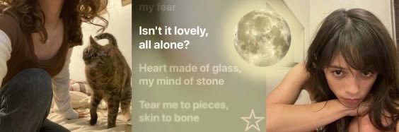 ortegasbones's profile banner image
