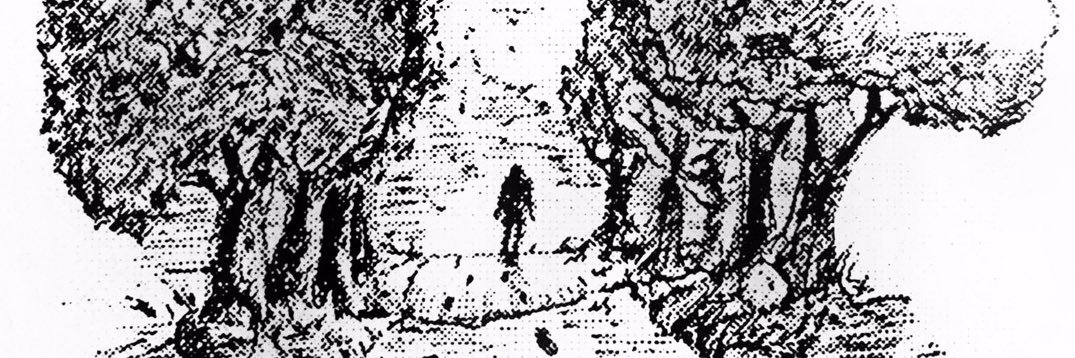 PatrickorDie's profile banner image