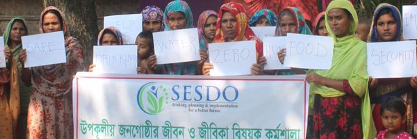 SESDO Profile Banner