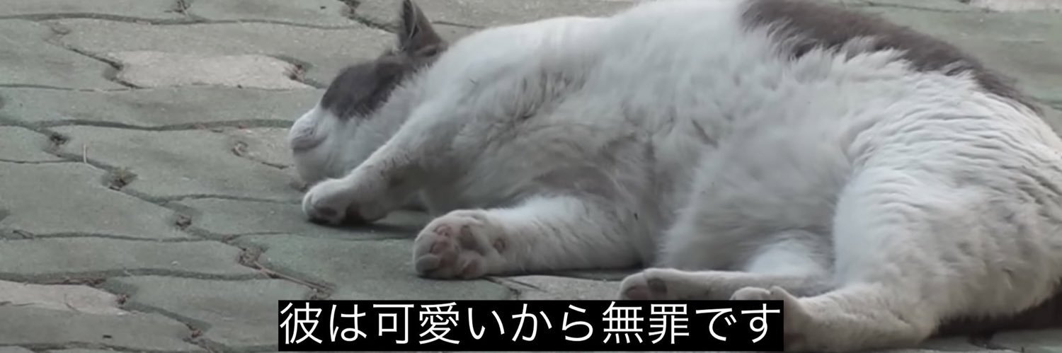 𝚜𝚑𝚞🥟 banner