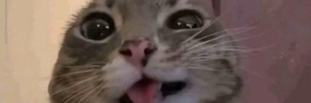 Lørenzo 🇮🇹 banner