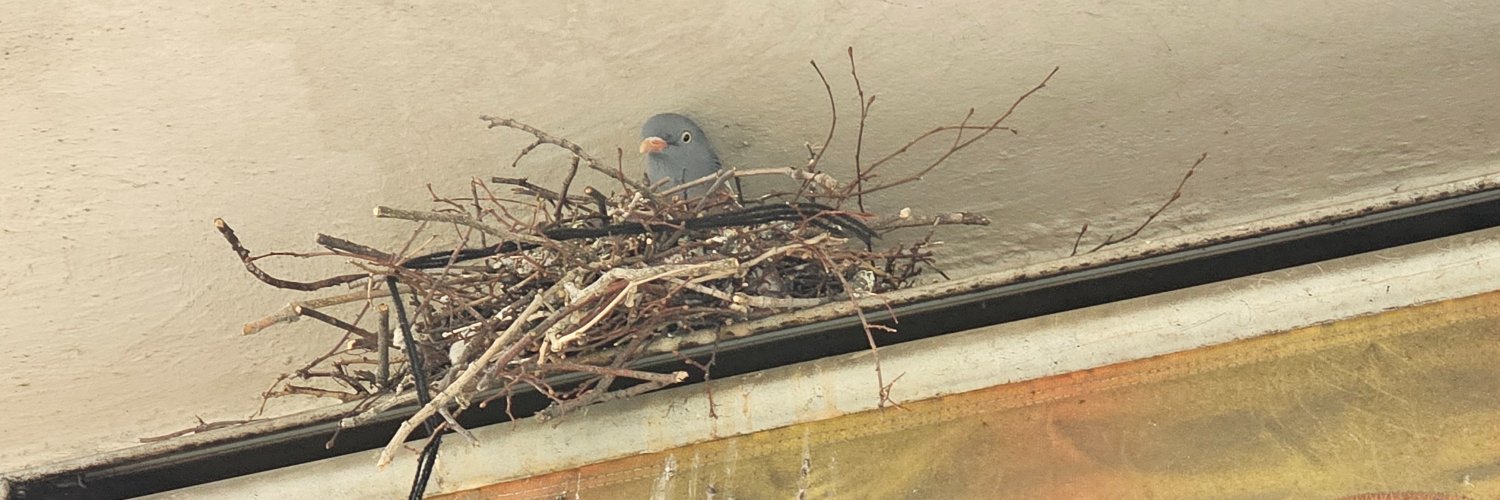 Harry Hensler banner