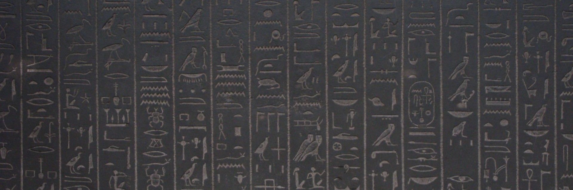 Nefer's profile banner image