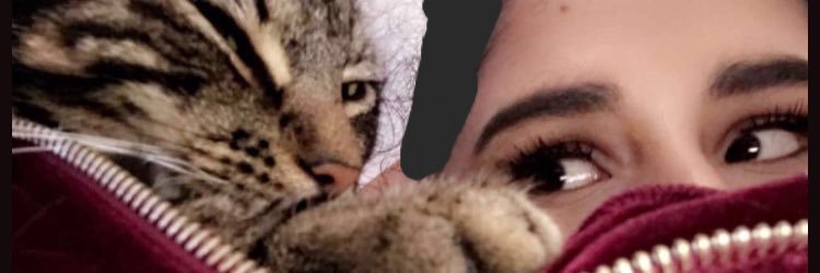 rocs👸🏻 banner