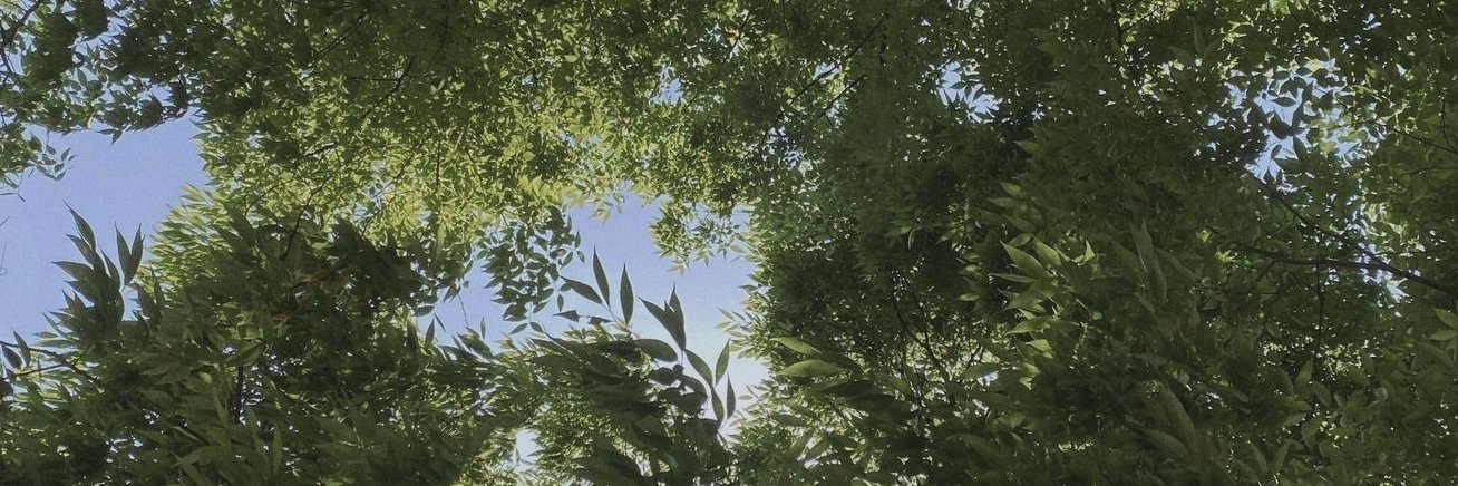madumontez's profile banner image