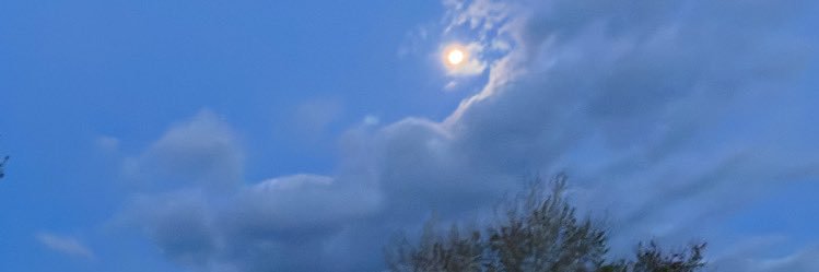 zed_nem_'s profile banner image